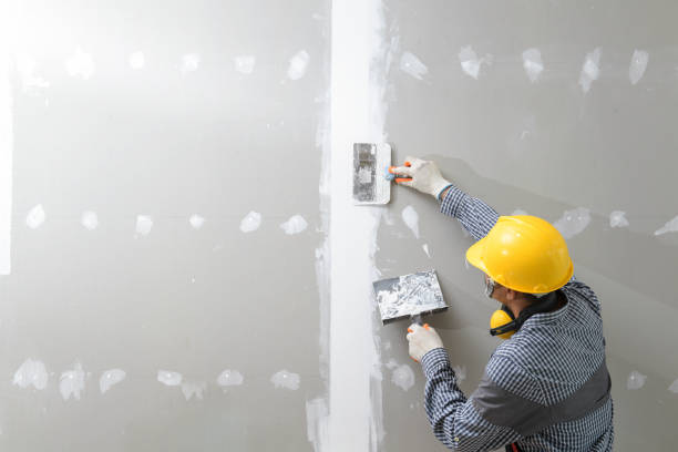 Best Emergency Mold Remediation  in Valley Forge, TN