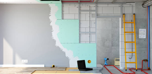 Best Mold Documentation for Insurance Claims  in Valley Forge, TN